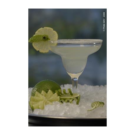 4459 - TEQUILA JALISCO BLANCHE