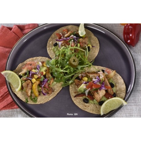 7493 - TORTILLAS DE MAIS Ø 15 CM