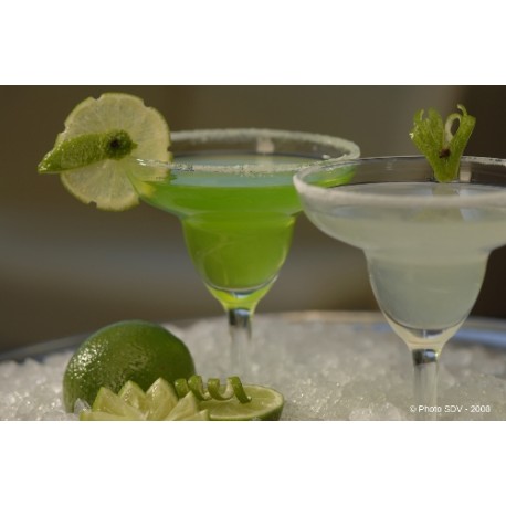 8063 - MARGARITA COCKTAIL